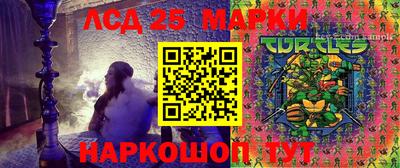 мдпв Кингисепп