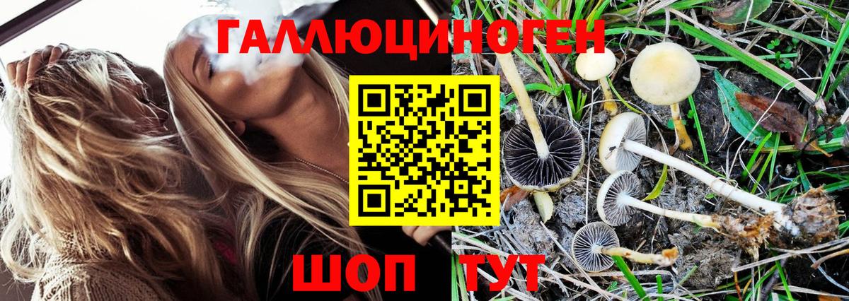 магазин продажи   Галлюциногенные грибы Magic Shrooms  Вход с VPN  Топки 